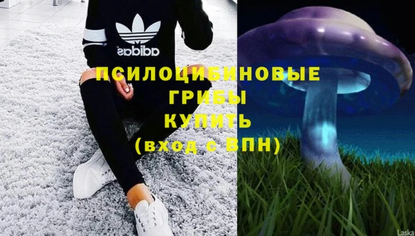 2c-b Дмитров