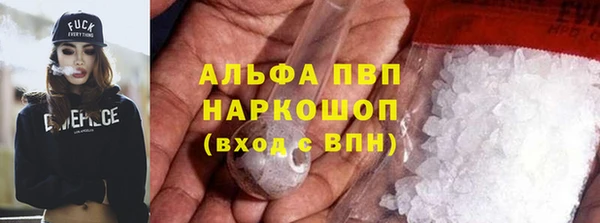 бошки Ельня
