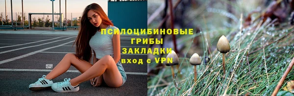 бошки Ельня